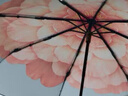 蕉下（beneunder）防紫外線遮陽傘三折雙層黑膠晴雨傘防曬傘BM664花椿 曬單實拍圖