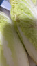 【超市品質(zhì)】新鮮精品娃娃菜現(xiàn)砍現(xiàn)發(fā)小包裝新鮮蔬菜生鮮產(chǎn)地直發(fā) 新鮮娃娃菜1*(3棵)*2包 曬單實(shí)拍圖