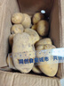 新鮮土豆現(xiàn)挖現(xiàn)發(fā)山東正宗黃心黃肉當(dāng)季蔬菜馬鈴薯洋芋薯?xiàng)l3兩起 山東土豆帶箱5斤 中大果 曬單實(shí)拍圖