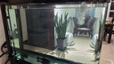 創(chuàng  )星魚(yú)缸魚(yú)池過(guò)濾器變頻循環(huán)水泵過(guò)濾桶三合一超靜音系統全套CFZ系列 【適用80-160CM缸】變頻CFZ-2000 【強化版濾材】套裝 曬單實(shí)拍圖