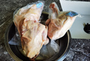 溫潤(rùn)食品 乳鴿凈重900g/3只 鴿子肉 液氮鎖鮮 鹵鴿烤鴿 燒烤 乳鴿湯 煲湯 曬單實(shí)拍圖