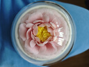 萬(wàn)事利x德基藝術(shù)館聯(lián)名款真絲絲巾禮盒送長(zhǎng)輩媽媽生日禮物絲綢-繁花似錦 曬單實(shí)拍圖