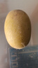 佳沛（zespri）新西蘭  陽(yáng)光金奇異果10粒禮盒巨大果單果約144-175g 水果 獼猴桃 曬單實(shí)拍圖