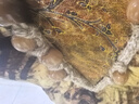 三吉黑花【楓林染】剪花織金印花天絲侘寂裙 蒼黃 L 曬單實(shí)拍圖