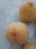 京鮮生 山東黃金蜜桃 毛桃凈重4.5斤單果150g+新鮮水果源頭直發(fā)包郵 曬單實(shí)拍圖