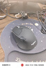 羅技（Logitech）M720無(wú)線(xiàn)藍牙鼠標 辦公鼠標 藍牙優(yōu)聯(lián)雙模無(wú)線(xiàn)鼠標Mac ipad鼠標 大手人體工學(xué)多設備自定義按鍵 舒適手感 黑色 曬單實(shí)拍圖