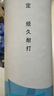 川崎（KAWASAKI）羽毛球熊貓川川9號(hào)耐打?qū)I(yè)比賽訓(xùn)練用球10個(gè)裝 曬單實(shí)拍圖
