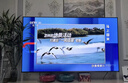 海信電視小墨E5Q Pro75英寸 768分區(qū)U+MiniLED 信芯芯片 抗反光防眩光墨晶屏 300Hz 國(guó)家補(bǔ)貼75E5Q-PRO 曬單實(shí)拍圖