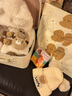 新生嬰幼兒見面送禮物滿月寶寶衣服套裝初生禮盒實(shí)用高檔秋冬待產(chǎn) 穿靴子的考拉 66cm 0-4個(gè)月 曬單實(shí)拍圖