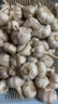 25年干蒜大蒜新鮮蒜 原產(chǎn)地農(nóng)家整箱糖蒜臘八蒜時(shí)令蔬菜半價(jià) 5斤 (凈重4,8斤) 4.0-5.0cm中果 曬單實(shí)拍圖