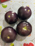 京鮮生 山東紫茄子 圓茄 凈重3斤單果250克+新鮮蔬菜源頭直發(fā) 曬單實拍圖