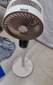 創(chuàng)維【全屋驅(qū)蚊】空氣循環(huán)扇家用電風(fēng)扇落地扇2025新款大風(fēng)量語音遙控輕音節(jié)能臥室小風(fēng)扇Q522 白咖色 曬單實拍圖