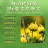 南同四海南京同仁堂菊花杭白菊100g護去肝火杭白菊特正宗級菊花茶桐鄉產(chǎn) 曬單實(shí)拍圖