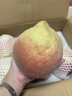 玫梔深州大蜜桃壽桃水蜜桃甜毛桃子中秋節禮物禮盒裝新鮮孕婦水果順豐 深州大水蜜桃 順豐 單果7-8兩 6顆禮盒裝 曬單實(shí)拍圖