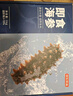 京東京造大連冷凍即食海參1000g 30-50只 固形物不低于70% 遼刺參 曬單實拍圖