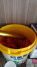 窩小芽 鱈魚做的鱈魚腸 兒童寶寶零食原味桶裝0添加防腐劑3A配方500g 曬單實拍圖