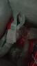 龍大肉食 國產(chǎn)黑豬肋排4斤（不含脊骨） 免切排骨豬肋骨含軟骨 黑豬肉生鮮 曬單實(shí)拍圖