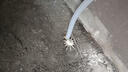 TCL空調大1匹小藍翼真省電 空調掛機 超一級能效省電35%冷暖 KFR-26GW/RV2Ea+B1以舊換新國家補貼 曬單實(shí)拍圖