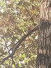 除草爛根劑強力除樹(shù)劑大樹(shù)爛根王大樹(shù)爛根劑樹(shù)死特傚效藥園藝肥料 大樹(shù)枯 100ml 1瓶 曬單實(shí)拍圖
