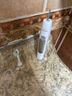 飛利浦（PHILIPS）電動(dòng)牙刷頭 7倍去除牙菌斑潔凈型3支裝HX9023 適配鉆石3系HX6/ HX3/ HX51系列 曬單實(shí)拍圖