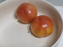 京鮮生 山東普羅旺斯番茄 凈重4.5斤 單果125g+ 沙瓤西紅柿 源頭直發(fā) 曬單實(shí)拍圖