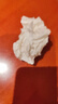 婷美【蠶絲乳膠杯】學生運動文胸提拉背心式無痕輕塑發(fā)育少女文胸XL 曬單實拍圖