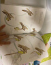 池上池下-愛(ài)上自然系列繪本（給3—8歲孩子的自然與科學(xué)、美學(xué)與文學(xué)課，豐子愷兒童圖畫(huà)書(shū)獎獲獎作品?套裝全5冊） 曬單實(shí)拍圖