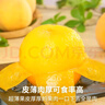 粵迎山東蒙陰黃桃新鮮時令桃子現(xiàn)摘黃金黃毛桃桃子水果高山黃桃生鮮 5斤精選果【阿姨手挑】凈4.5斤 曬單實(shí)拍圖