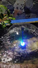 GCCW全套蘑菇噴泉水泵彩燈噴頭循環(huán)增氧泵小型假山魚(yú)池水池造景小噴泉 （矮款）魚(yú)缸噴泉泵20瓦 曬單實(shí)拍圖