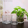 宰摟簡(jiǎn)約水培花盆正方形玻璃花瓶透明綠蘿水養植物器皿烏龜缸擺 杯子整體尺寸以下方介紹為準別拍 曬單實(shí)拍圖