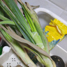 農(nóng)家自種精品山東大蔥特級(jí)新鮮鐵桿長(zhǎng)白蔥農(nóng)家毛蔥香蔥現(xiàn)挖便宜 山東大蔥（帶老皮）帶箱 1斤 曬單實(shí)拍圖