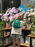 fjallraven瑞典北極狐雙肩包kanken書(shū)包男女戶(hù)外旅行背包順豐包郵 水鴨綠   贈送加寬肩帶 16L 曬單實(shí)拍圖