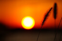 索尼（SONY）E 70-350mm F4.5-6.3 G OSS APS-C畫(huà)幅超遠(yuǎn)攝變焦G鏡頭 SEL70350G 曬單實(shí)拍圖
