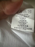 森馬（Semir）歐貨純棉白色短袖女T恤夏2025新款圓領(lǐng)正肩內(nèi)搭打底衫上衣ins風(fēng) 白色-問好鴨--側(cè)邊 2XL 曬單實(shí)拍圖