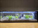 BESSN魚缸防跳網(wǎng)磁吸魚缸蓋罩網(wǎng)魚缸防跳蓋魚缸防逃網(wǎng)溪流缸雷龍防跳網(wǎng) 80x40黑邊黑網(wǎng)+喂食口 曬單實拍圖