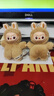 拉布布四代心底密碼搪膠毛絨掛件盲盒Labubu4.0生日禮物手機掛件 (A-M)盲盒2個(gè)【概率隱藏】 曬單實(shí)拍圖