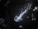 BOXLAMP星空氛圍燈 臥室星空投影燈音樂(lè )盒功能星光小夜燈送女生日禮物 曬單實(shí)拍圖