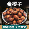 北京同仁堂野生金櫻子干貨去籽搭配風(fēng)流果泡酒牛大力刺梨子廣西金英子山石榴 【三蒸三曬】金櫻子肉（250g）去籽 曬單實(shí)拍圖