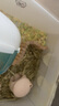 它適豆豆紙粒倉(cāng)鼠金絲熊吸水紙粒墊料夏季除臭造景-蜜瓜啵啵400g 曬單實(shí)拍圖