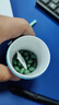 Swisse斯維詩(shī) 高濃度西芹籽精華膠囊5000mg*50粒/瓶 高濃度西芹籽5000mg*50粒每瓶 曬單實(shí)拍圖