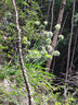 駱駝（CAMEL）蜜蜂包戶外騎行徒步登山包旅游旅行輕便爬山背包運(yùn)動(dòng)雙肩包 淺灰色 9L騎行背包 574D284633 曬單實(shí)拍圖