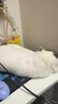 華元寵具（hoopet）貓咪絕育服寵物小狗狗母貓貓手術服透氣戒奶服公貓防舔術后用衣服 曬單實拍圖