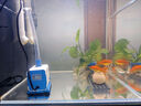 森森（SUNSUN）耀藍魚缸水泵小型潛水泵過濾泵抽水泵YQP-1000 15W 曬單實拍圖