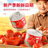 屯河 新疆內蒙番茄丁200g*12禮盒 0添加劑西紅柿塊番茄醬罐頭 曬單實(shí)拍圖