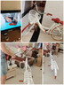 飛鴿（FLYING PIGEON）自行車成人通勤車自行車學生單車成人自行車通勤自行車女士自行車 標配珍珠白|單速|(zhì)輻條輪+禮包 24寸適合150-170cm 曬單實拍圖