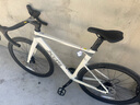 喜德盛公路自行車(chē)2025款AD300油碟UCI車(chē)架2x10速中空一體牙盤(pán)桶軸破風(fēng)車(chē) 白蛇 540mm 曬單實(shí)拍圖
