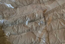 無印良品（MUJI）女式 便攜式 無領(lǐng)馬甲 羽絨背心 羽絨服 深棕色3A M  曬單實拍圖