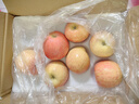 京鮮生 煙臺紅富士蘋(píng)果 凈重8斤  單果230g起 中秋水果禮盒 曬單實(shí)拍圖
