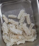 新鮮大魷魚(yú)花冷凍生鮮目魚(yú)花尤魚(yú)花魷魚(yú)卷海鮮水產(chǎn) 魷魚(yú)花1500g 曬單實(shí)拍圖