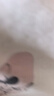 三彩2025秋款美式復古撞色印花T恤上衣V領(lǐng)插肩袖女 藏青色 L 165/88A 曬單實(shí)拍圖